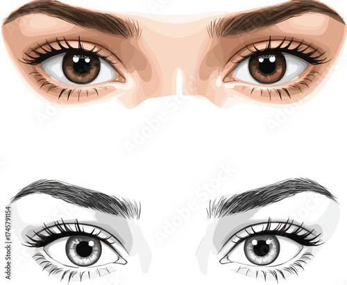 Detailed vector illustration of a woman's brown eyes with thick eyebrows and long lashes, representing beauty, makeup, stare, natural, isolated, fashion

