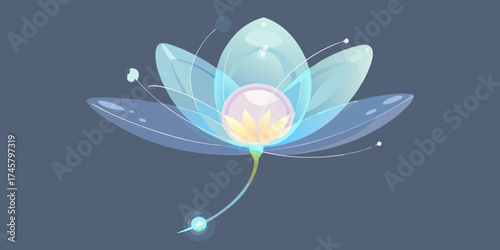 lotus flower in water