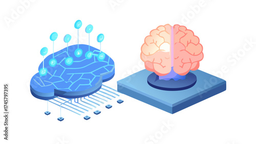 3d rendered illustration of human brain