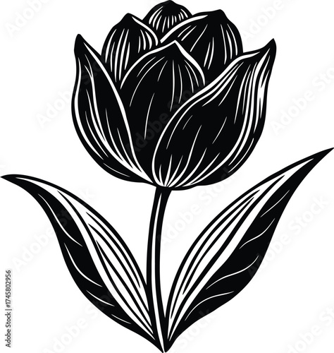 Abstract swirling nebula cloud galaxy space cosmic background texture isolated on transparent background