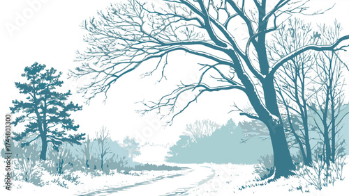 A serene winter landscape featuring a snow covered dirt road winding through bare trees and evergreen foliage under a pale sky