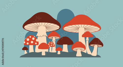 Diverse Mushroom Collection - A Colorful Fungi Gathering.
