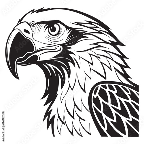 macaw parrot  vector icon