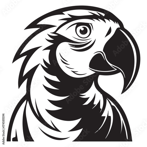 macaw parrot  vector icon