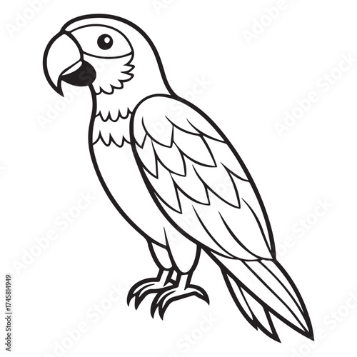 macaw parrot  vector icon