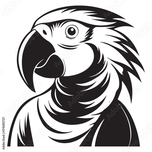 macaw parrot  vector icon