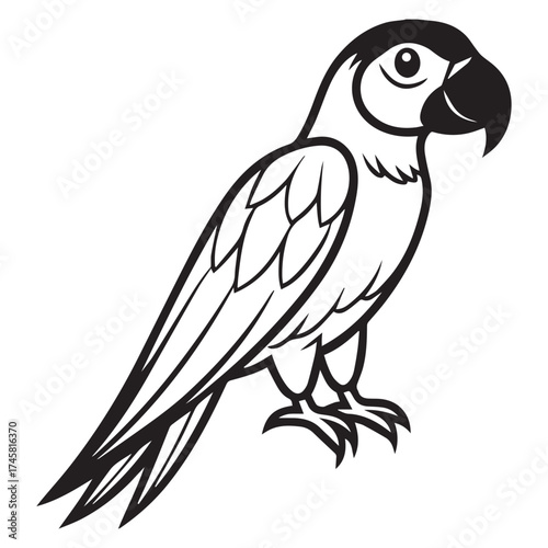 macaw parrot  vector icon