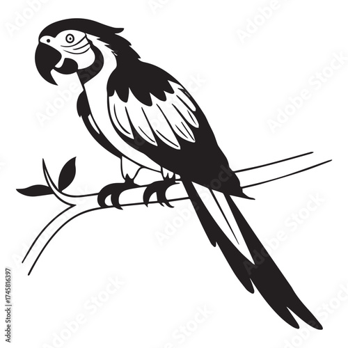 macaw parrot  vector icon