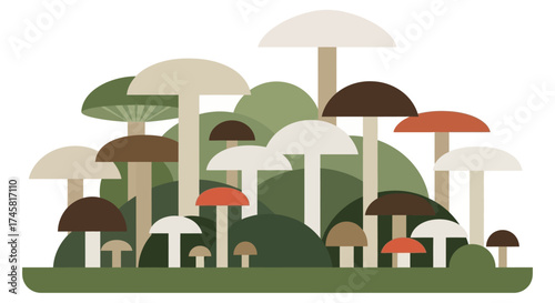 Stylized flat vector illustration of a group of forest mushrooms.