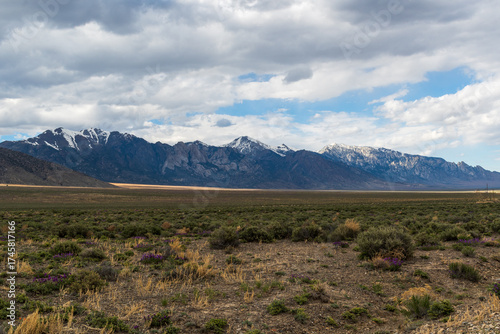 Desert scrub and wildflowers in foreground of snow-capped Nevada mountains beneath a mostly cloudy sky