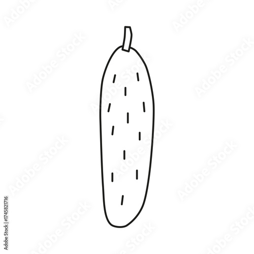Cute hand drawn outline cucumber icon isolated on white background. Summer and autumn harvest. Healthy vegetarian food.
