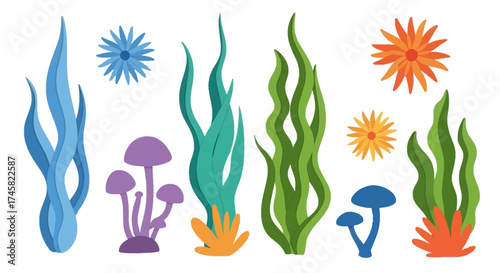 Vibrant collection of diverse underwater plants and coral reef elements.