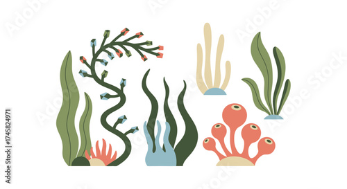 A diverse collection of stylized seaweed and coral illustrations.