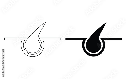 Stylized illustration of a hair follicle in outline and silhouette isolated on white background
