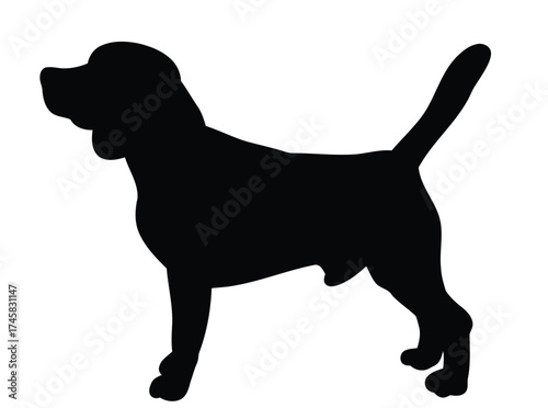 dog, beagle, silhouette, animal, pet, canine, mammal, black, white background, isolated, standing, side view, profile, outline, shape, domestic, friendly, playful, loyal, cute, simple, graphic, illust