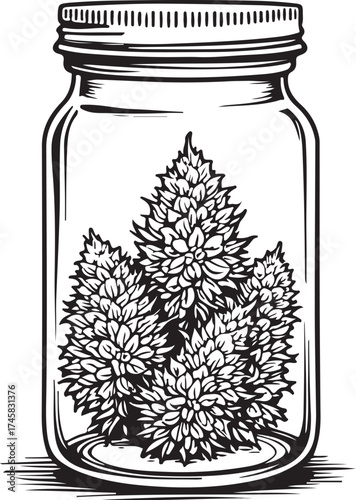 CBD or THC, Medical Marijuana Buds, Hemp Cannabis Weed in Jar, Simple Hand-drawn Sketch Doodle Drawing Vector Illustration, Black and white Line Linear Isolated Art