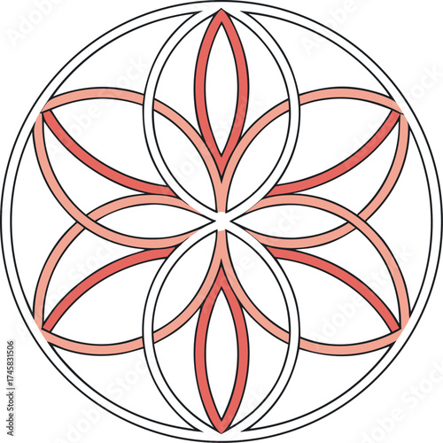 Geometric flower of life vector illustration sacred geometry symbol isolated on white background