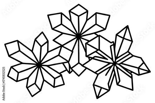 Snowflake Crystal Bundle Vector on White Background