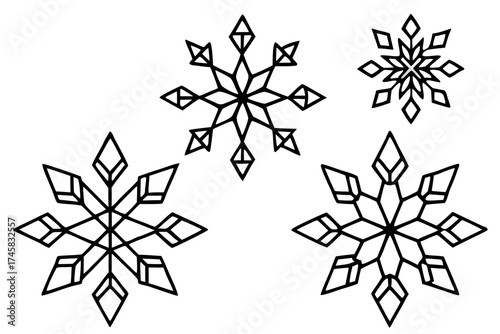 Snowflake Crystal Bundle Vector on White Background