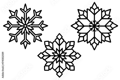 Snowflake Crystal Bundle Vector on White Background
