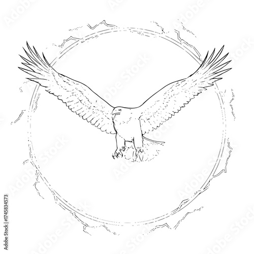 Eagle drawing flying soaring illustration sketch bird of prey wildlife art vector graphic design clip art