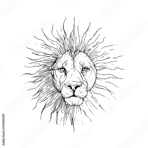 Lion head illustration drawing sketch vector art black and white animal wildlife feline predator mane king africa 100