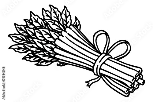 Minimal Herbal Line Art Vector Set – Botanical Outline Illustration Collection on White Background