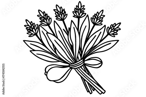 Minimal Herbal Line Art Vector Set – Botanical Outline Illustration Collection on White Background