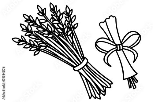 Minimal Herbal Line Art Vector Set – Botanical Outline Illustration Collection on White Background