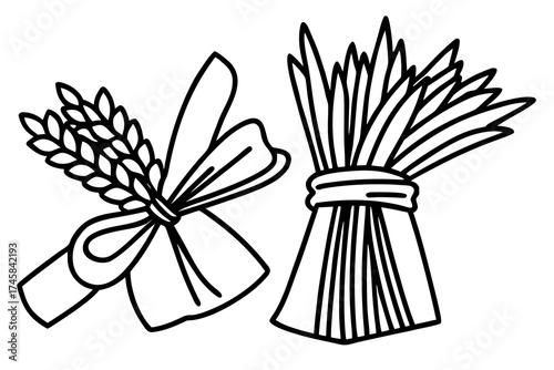 Minimal Herbal Line Art Vector Set – Botanical Outline Illustration Collection on White Background