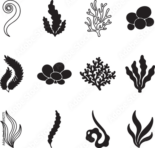 Collection of stylized seaweed frond icons diverse aquatic plant silhouettes marine flora shapes for ocean and underwater themed designs