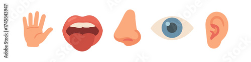 Five senses icons: hand, tongue, nose, eye, ear in flat design
