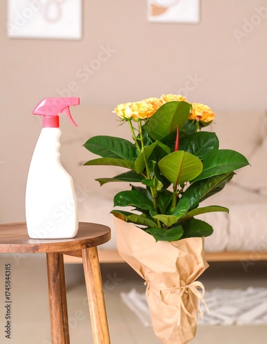 Indoor Scene Featuring Houseplant and Spray Bottle on Table