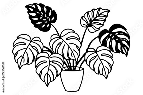 Elegant Monstera Leaf Bundle Line Drawing Vector Illustration
