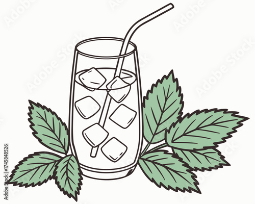 Refreshing drink with ice cubes and mint leaves in a glass  