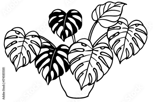 Minimalist Monstera Paradise Line Art Vector Set on White Background