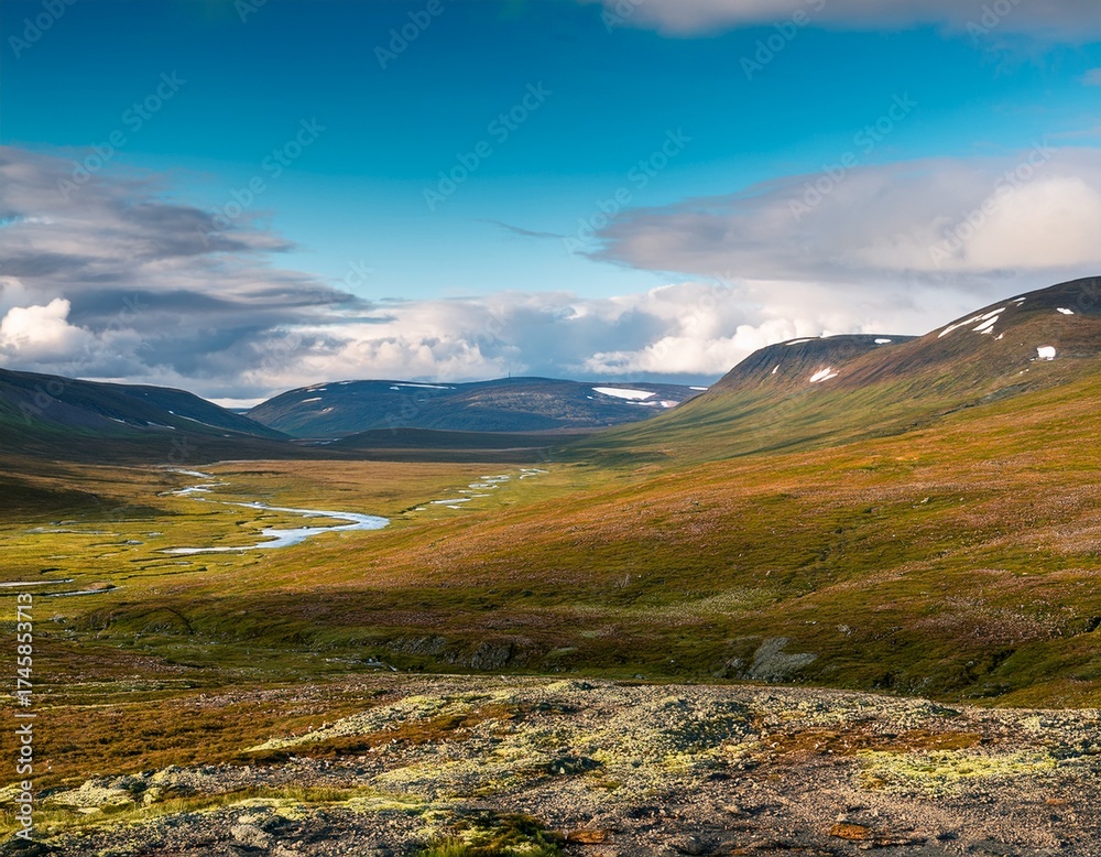 Fototapeta premium beautiful landscape view from the vast swedish highlands