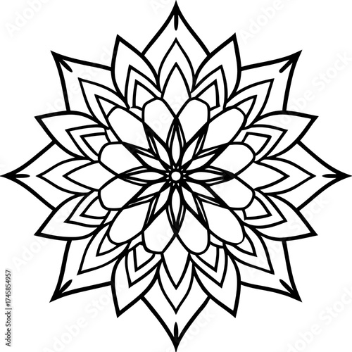 Floral Mandala Line Art Ornament Vector Illustration on White Background