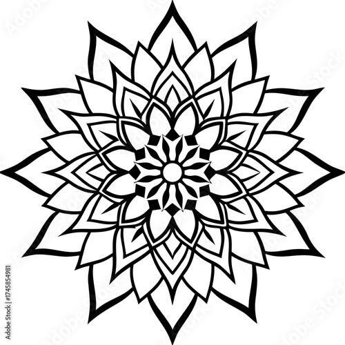 Floral Mandala Line Art Ornament Vector Illustration on White Background
