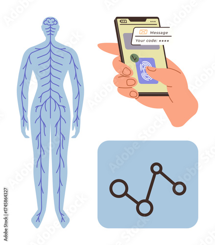 Human nervous system anatomy, hand scanning fingerprint on mobile for secure access, and connected network nodes. Ideal for biology, security, technology, education, healthcare, connectivity