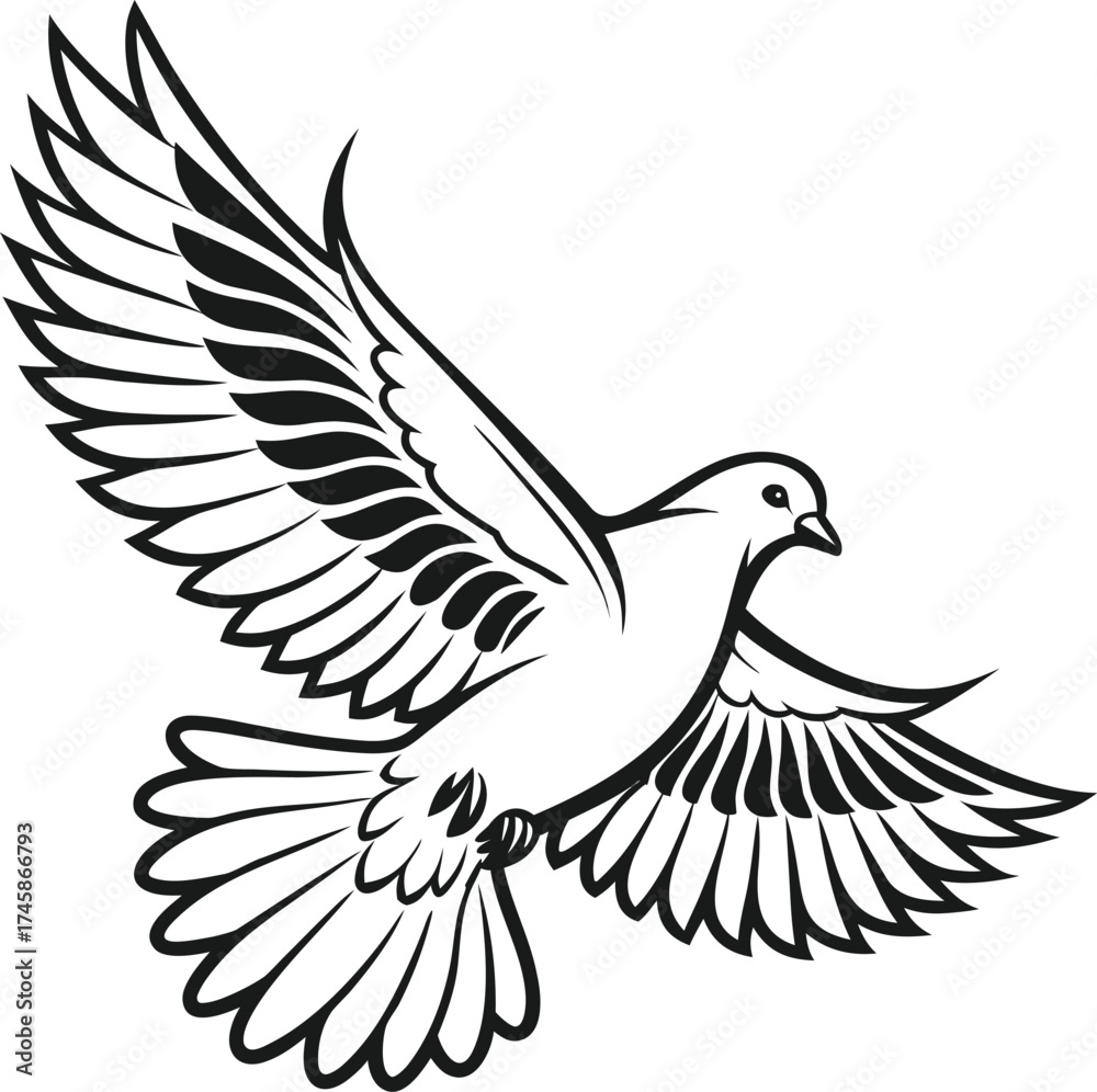 Fototapeta premium A detailed black and white line drawing of a dove in flight with its wings spread wide