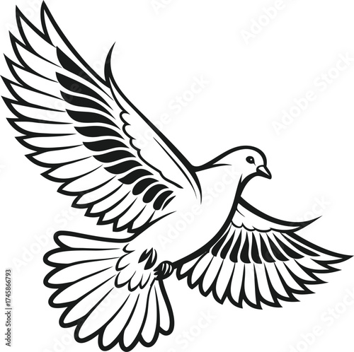 A detailed black and white line drawing of a dove in flight with its wings spread wide