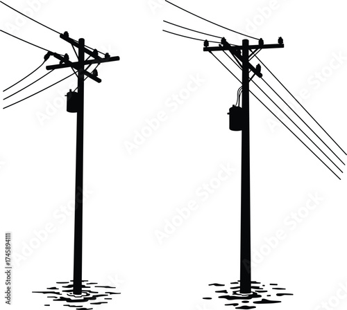 Silhouette utility poles, flooded water scene, transformers and insulators, power line system, 
