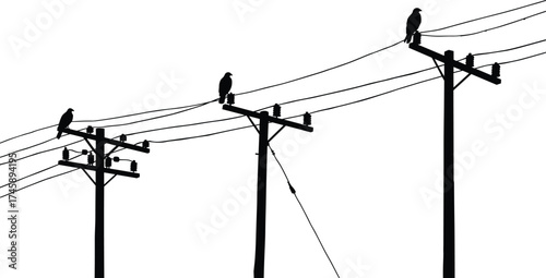 Silhouette utility poles, perched birds on poles, three pole network, diagonal support wire, power line system, electricity distribution, black outline, voltage grid