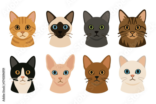 Cat breeds and pet faces icon set. Colorful illustrations of different cat heads