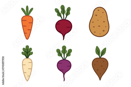 Root vegetables icon set. Colorful illustrations of fresh farm produce