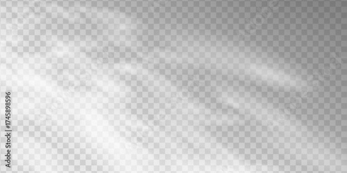 Sunlight and leaf shadow overlay on bright wall. Natural soft background for product display or cosmetic mockup. Minimal summer scene with realistic warm light effect.