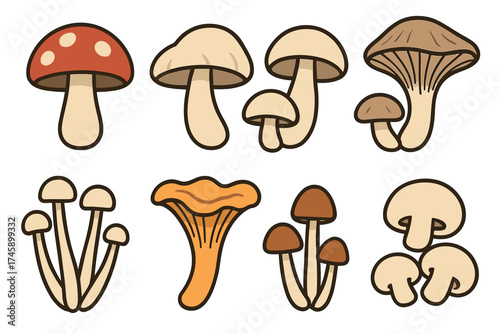 Edible and forest mushrooms cartoon vector illustration set. Collection of various mushroom types like champignon and chanterelle.