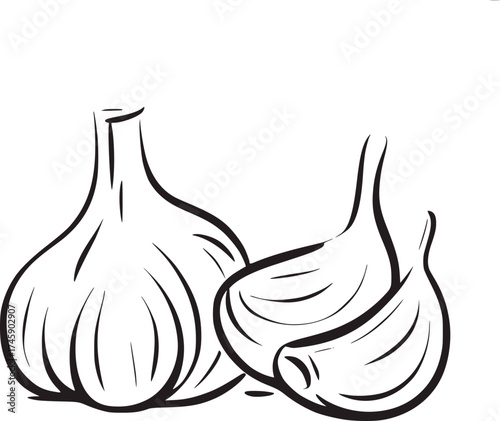 Black and white line drawing of garlic bulbs and cloves food ingredient
