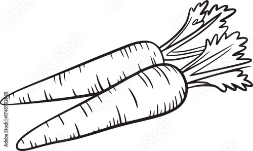 Black and white line drawing of two carrots with leafy tops vegetables produce